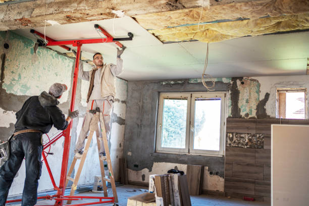 Best Insulation Removal  in Natchitoches, LA