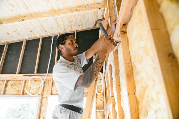 Best Blown-in Insulation  in Natchitoches, LA
